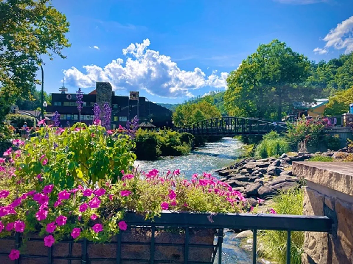 A picturesque scene featuring vibrant flowers in the foreground, a gently flowing river, an elegant bridge, and distant rolling mountains. The tranquil mood and diverse elements invite viewers to imagine strolling, picnicking, or simply relaxing with loved ones.
